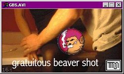 [Gratuitous beaver shot]